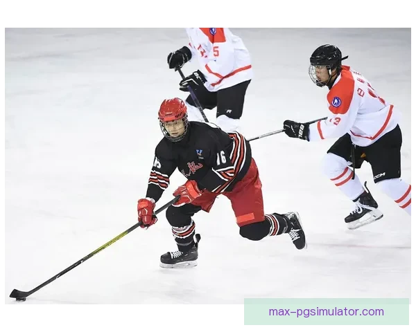 冰球史上最伟大的比赛与传奇瞬间