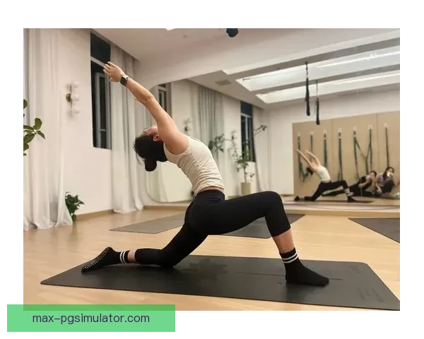 提升身体韧性与平衡力，全面解析普拉提教学视频