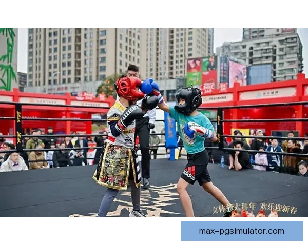 搏击风云：新一季拳击杯赛全面揭幕