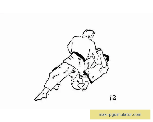 柔道投技精要：讲究技术配合和身体协调