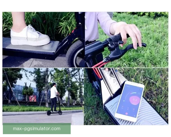 自行车漫谈:从两轮车到现代交通利器 自行车漫谈:从两轮车到现代交通利器