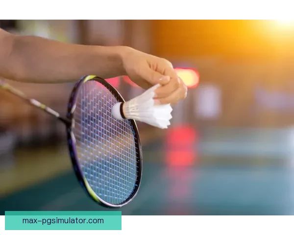 羽毛球盘口分析：实用技巧与策略分享