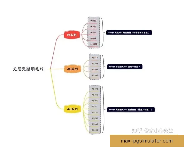 羽毛球初学者入门指南详解