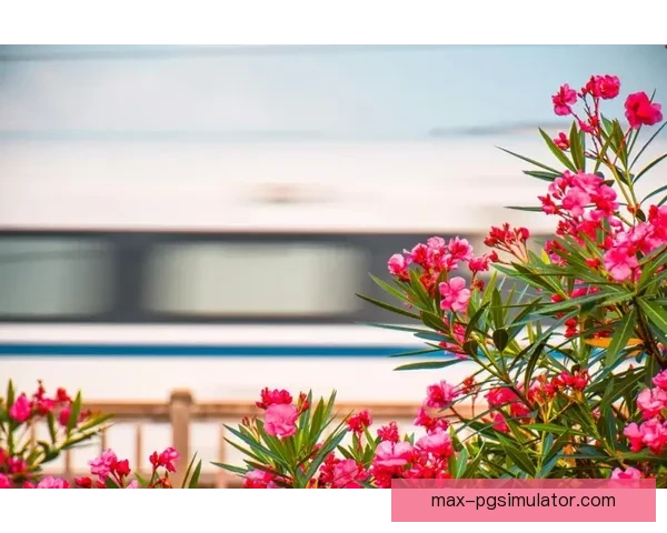 马拉松实时比分：全程程全程触手可及