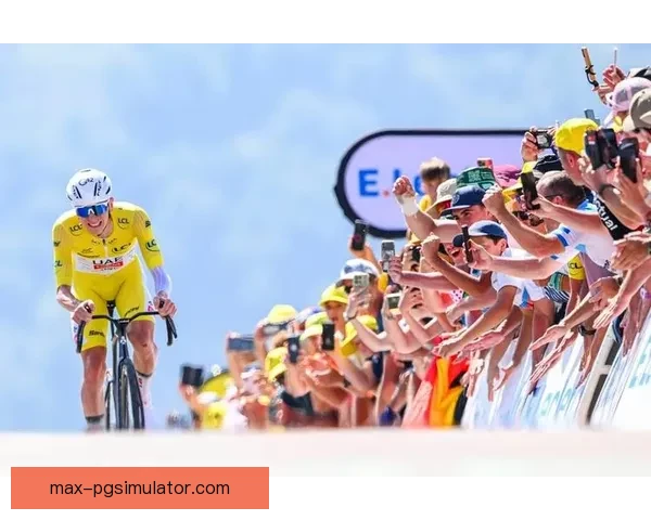 铁人三项盘口解读：挑战极限、揭秘策略